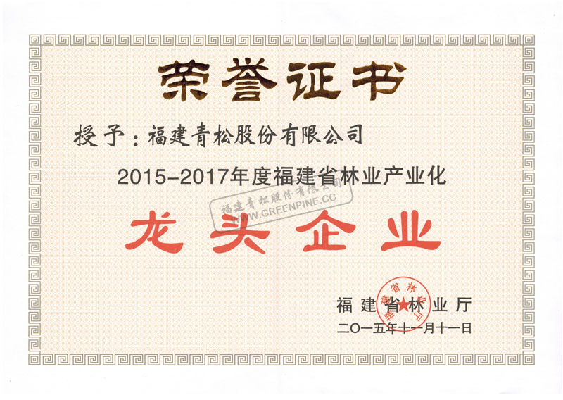 Leading enterprise of forestry industrialization of Fujian province