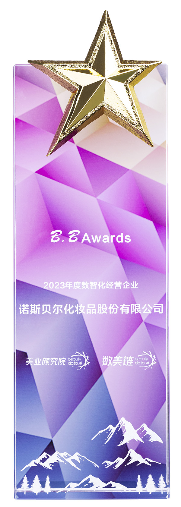 2023年度数智化经营企业(BB Awards)